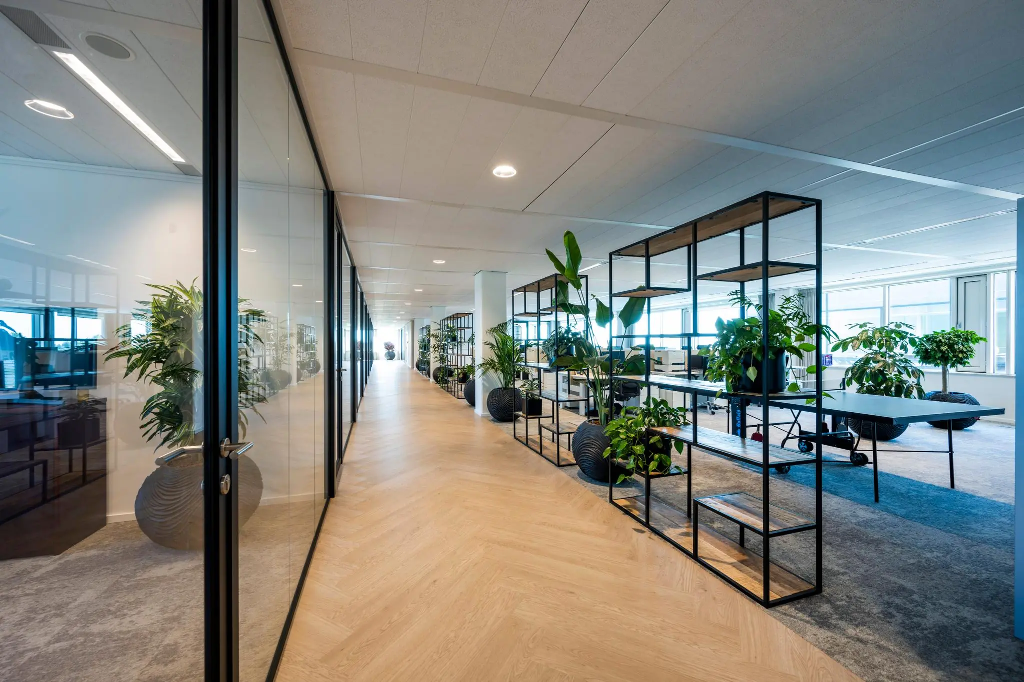 Modern kantoorinterieur aan de Thomas R. Malthusstraat met glazen wanden, houten vloer en veel groene planten.